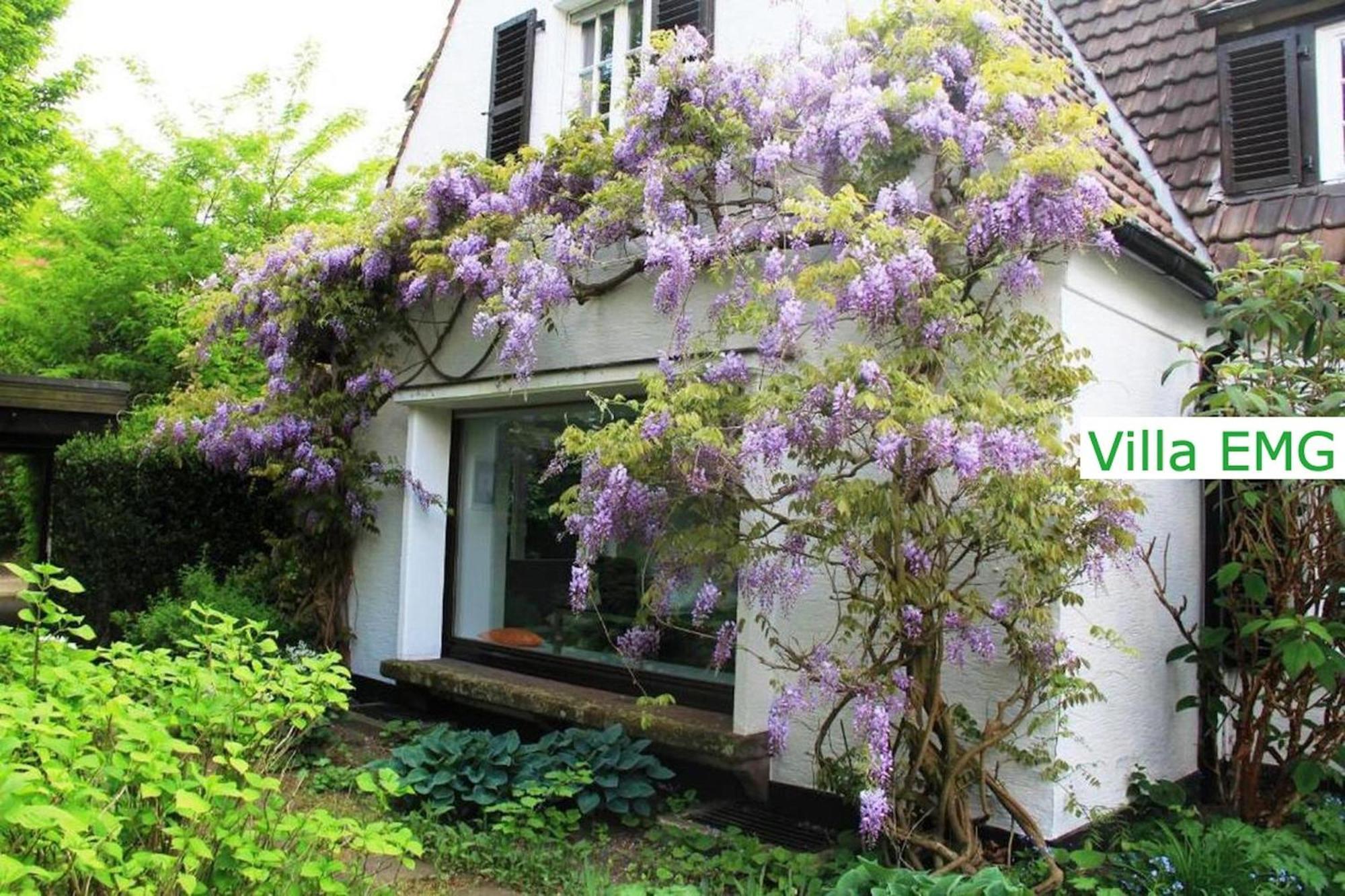 Luxury Family Holidays Villa In Emsdetten Munster Екстер'єр фото