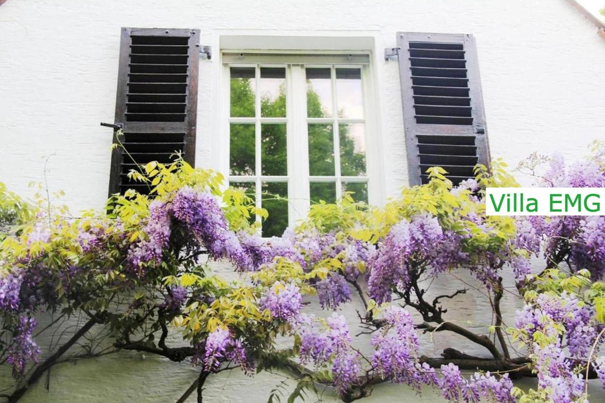Luxury Family Holidays Villa In Emsdetten Munster Екстер'єр фото